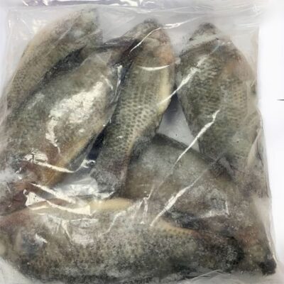 Tilapia — Clean Gutted 3 kg