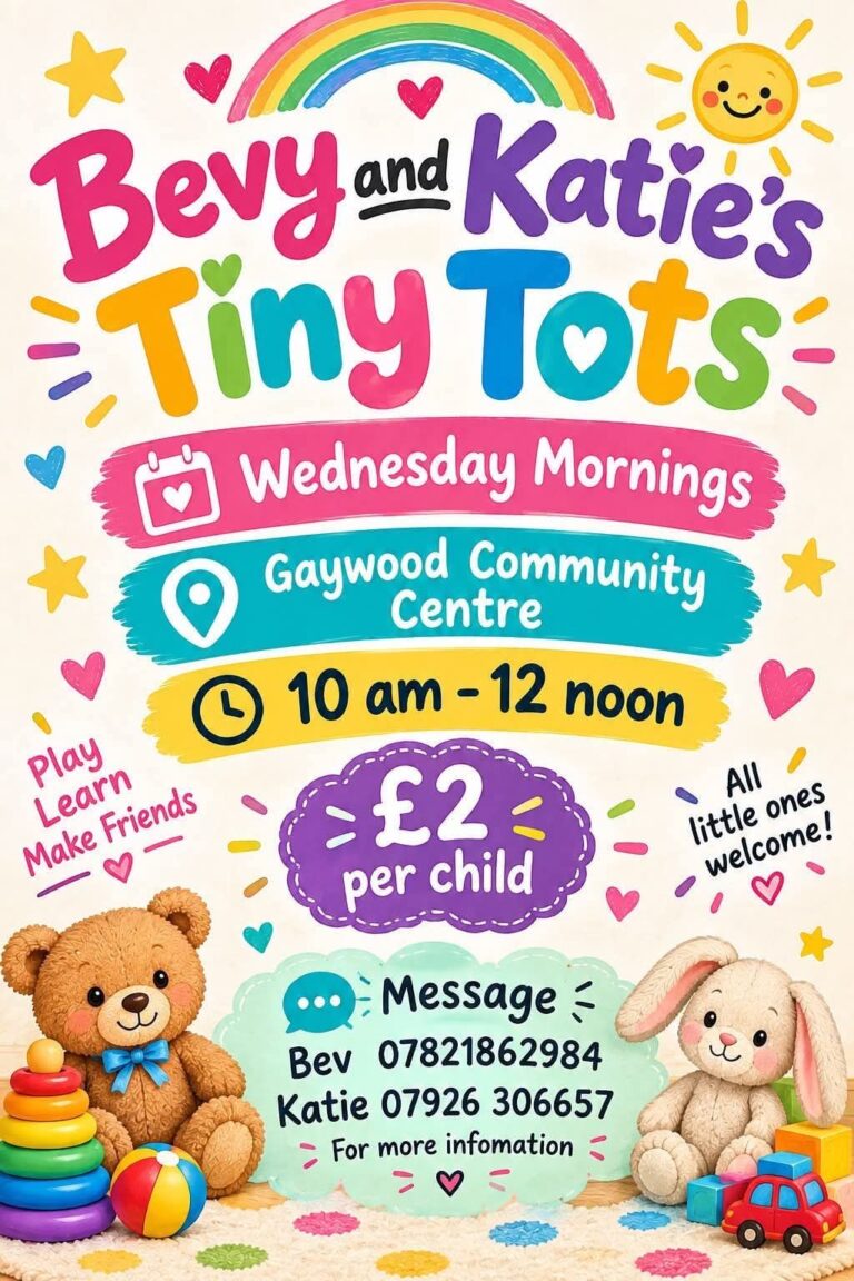 Bevy and Katie’s Tiny Tots poster – Wednesday mornings, Gaywood Community Centre, 10am–12 noon, £2 per child